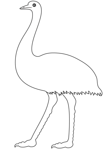 Walking Emu Coloring Page